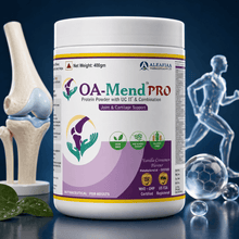 OA Mend Pro Protein Powder 400 gms | Muscle, Joint & Bone Support